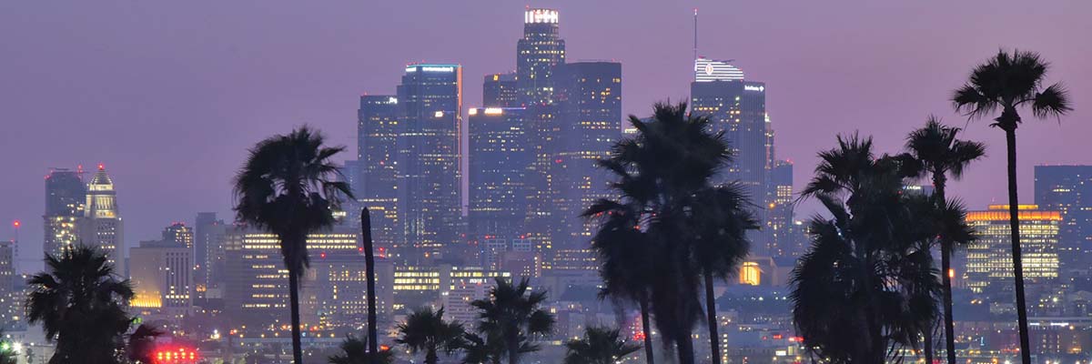 Los Angeles skyline, Best Sports Videographers found at American Sports Memories